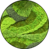 Rond Mosschilderij - Green Flow 2 Mos Schilderij Green Flow Rond