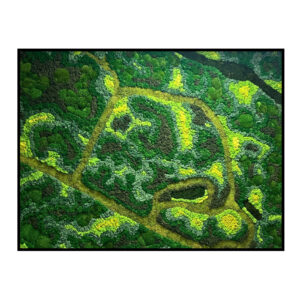 Verzendkosten 15 Mos Schilderij Natures Golfcourse 1