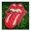 Mos Schilderij Rolling Stone Vierkant 2