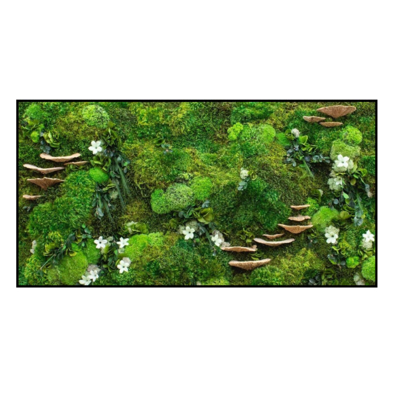 Mos Schilderij Spring Flower Panorama 1