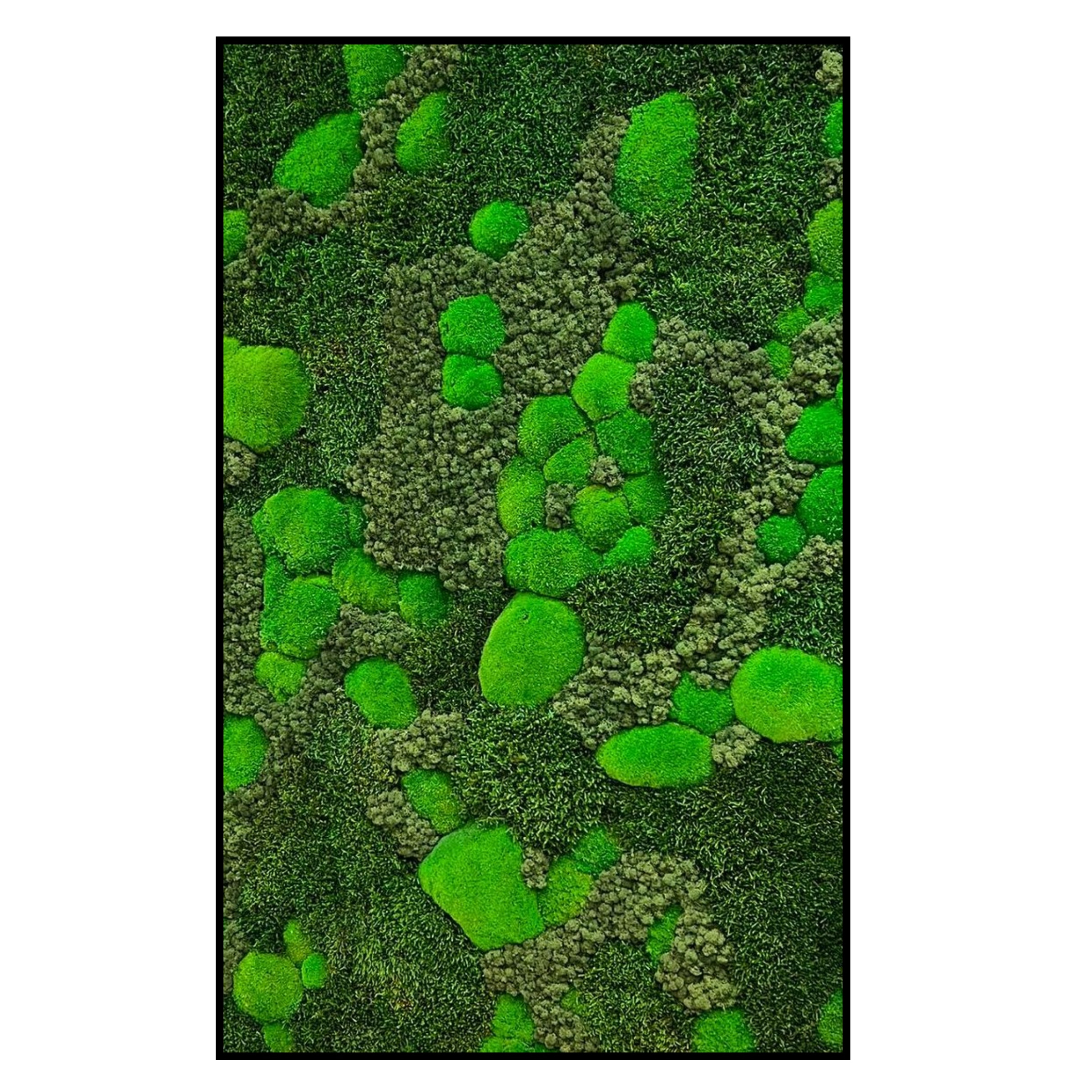 Mosschilderij - Bright and Green - Panorama (1) Mosschilderij Bright and Green Panorama 1