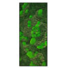 Mosschilderij - Bright and Green - Strip 1 Mosschilderij Bright and Green Strip 1