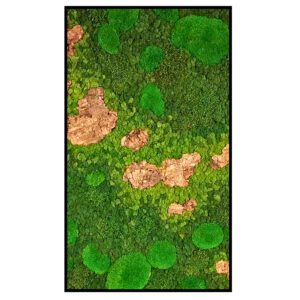 Mosschilderij Dinosaur Footsteps Panorama 1 1