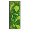 Mosschilderij Geometric Shapes Strip 1
