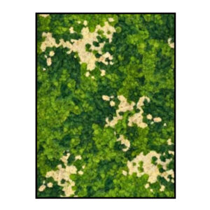 Mosschilderij Organisch 30 Mosschilderijen Rendiermos