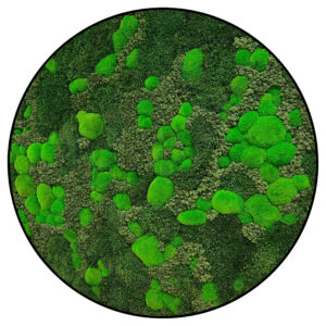 Rond Mos schilderij Bright and Green Rond 1