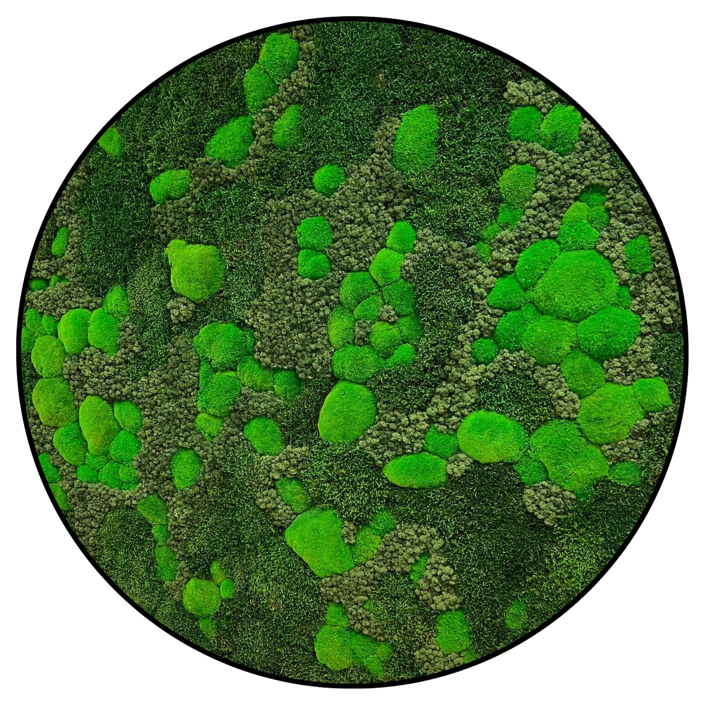 Rond Mos schilderij - Bright and Green - Rond (1) Rond Mos schilderij Bright and Green Rond 1