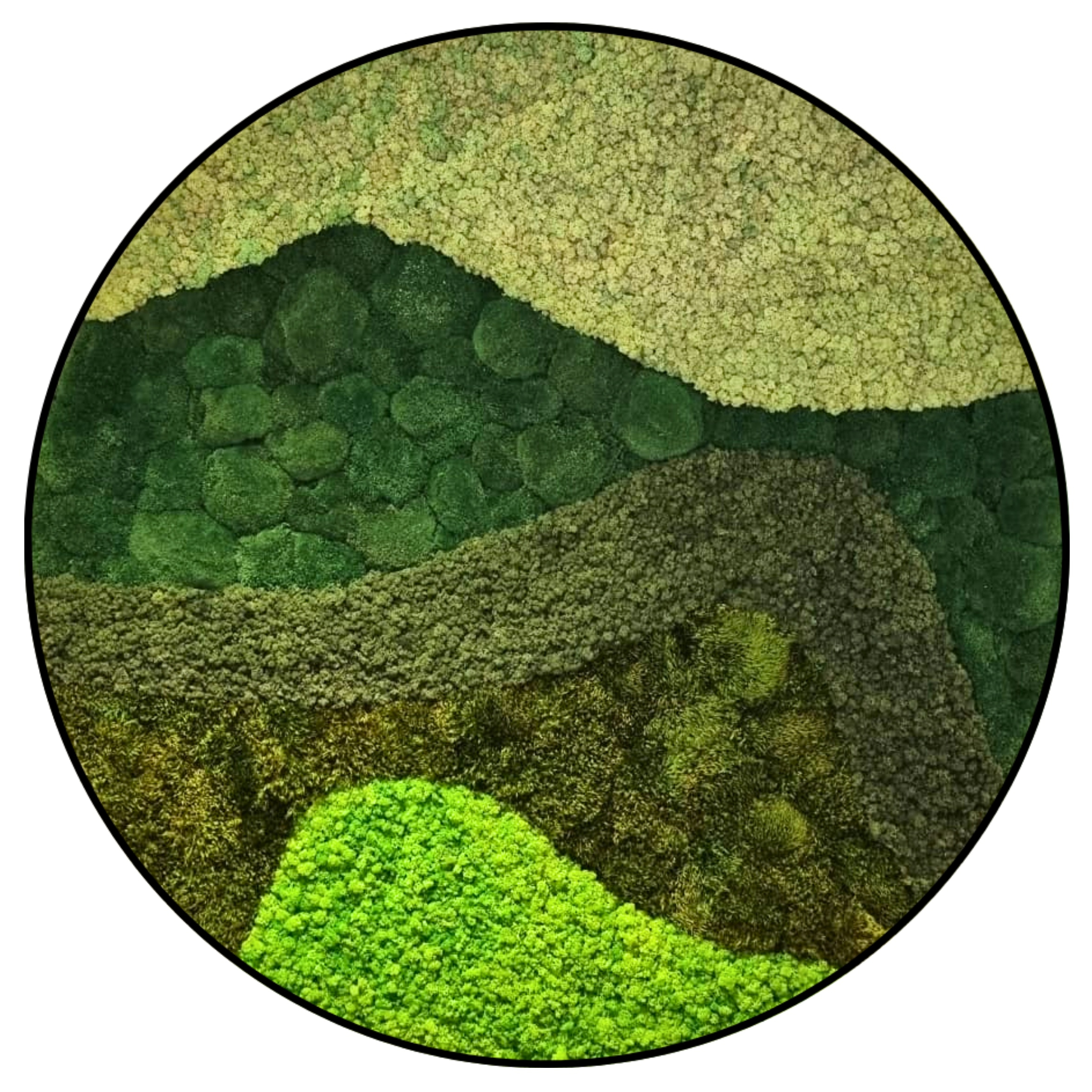 Rond Mos schilderij - Green Waves (1) Rond Mos schilderij Green Waves 1