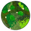 Rond Mosschilderij - Green and Greener 2 Rond Mos schilderij Green and greener 1