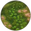 Rond Mos schilderij Lost World 1