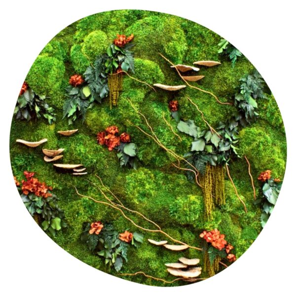 Jungleschilderij Organisch - Japanese Hillside 1 Jungleschilderij Organisch Japanese Hillside 1