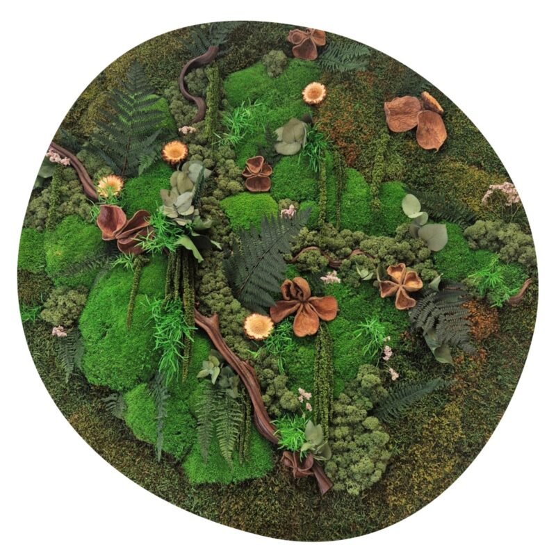 Mosschilderij Organisch 10 Mosschilderij Organisch Butterfly Garden 1