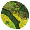 Mosschilderij Organisch Green Landscape 1