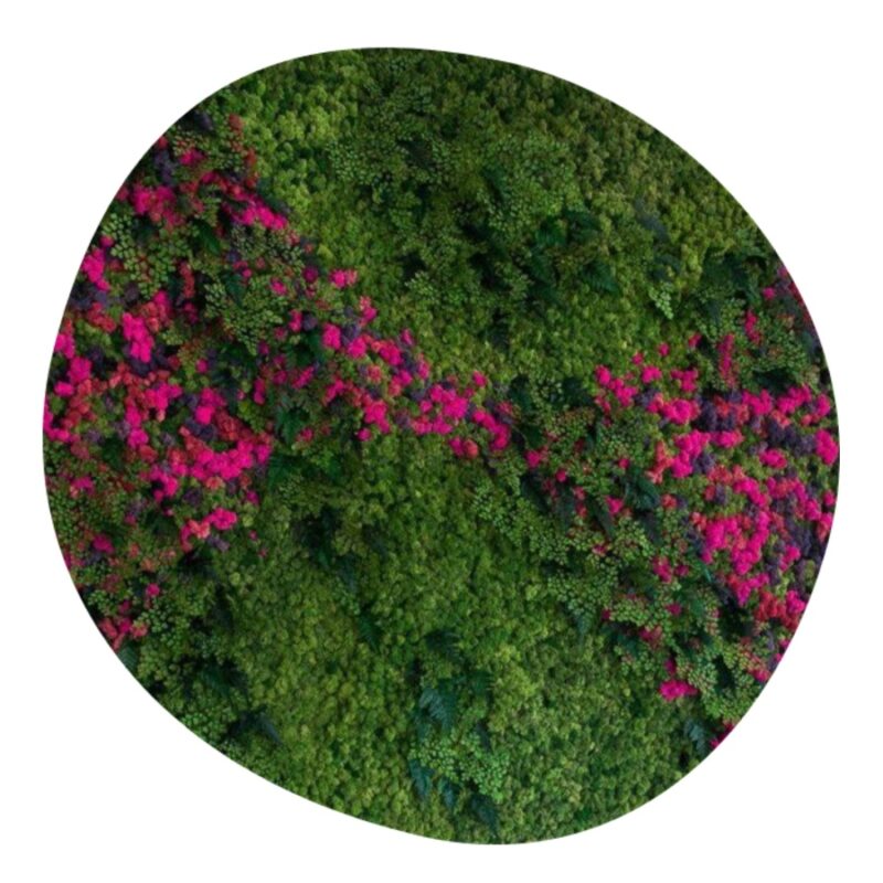 Mosschilderij Organisch 12 Mosschilderij Organisch Multicolor Batcave 1