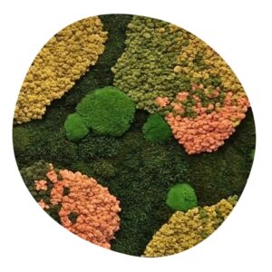 Mosschilderij Organisch - Pink and Beige