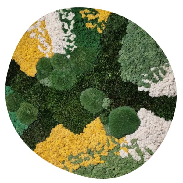 Mosschilderij Organisch - Yellow and White 8 Mosschilderij Organisch Yellow and White 1