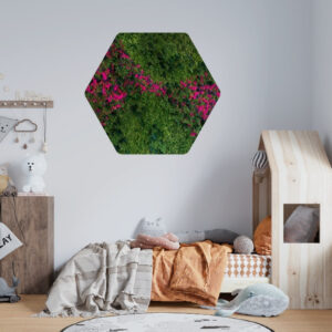 Mosschilderij Organisch 20 Mosschilderijen Zeshoek