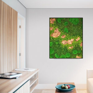 Mosschilderij Organisch 18 Mosschilderijen Rechthoek