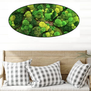 Mosschilderij Organisch 16 Mosschilderijen Ovaal