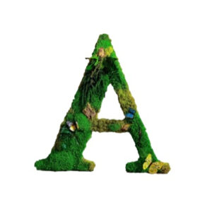 Moswand Logo 13 Mos Letters Jungle 2 1