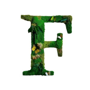 Moswand Logo 12 Mos Letters Jungle 3 1