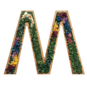 Moswand Logo 14 Mos Letters Jungle Flowers 1