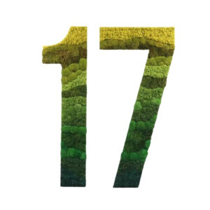 Moswand Logo 21 Mos Letters Mostinten 1