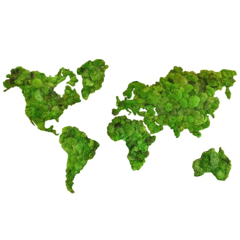 Mos Wereldkaart Bolmos