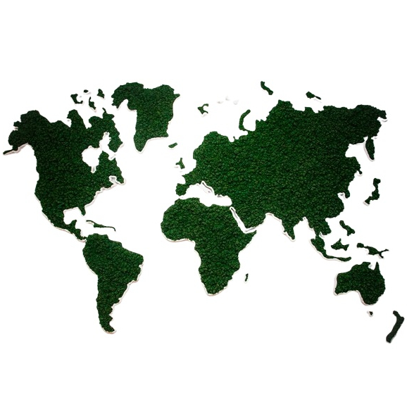 Mos Wereldkaart Rendiermos Donkergroen