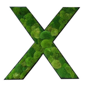 Moswand Logo 18 MosLetters Bolmos 1