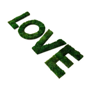 Moswand Logo 15 Mosletters Mood mos