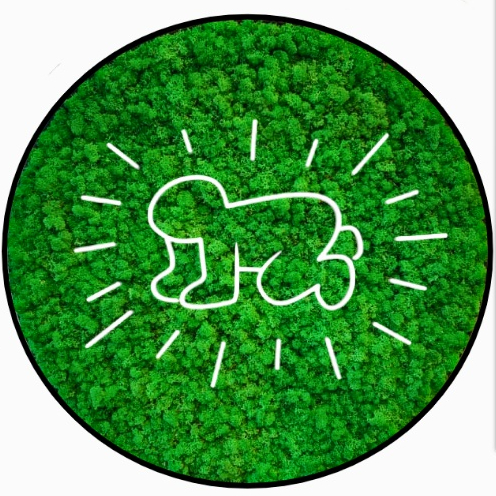 Mos Cirkel - Keith Haring - Baby 10 Mosschilderij Keith Haring Neon Baby 1