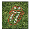 Mosschilderij Neon Rolling Stone 4