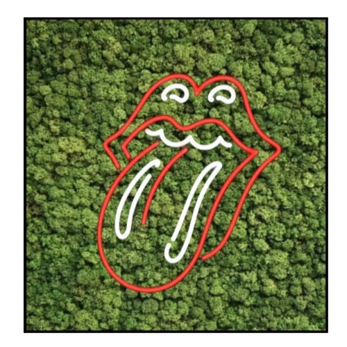 Mosschilderij Neon - Rolling Stone 3 Mosschilderij Neon Rolling Stone 4