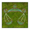Platmos schilderij Neon Sterrenbeeld 2