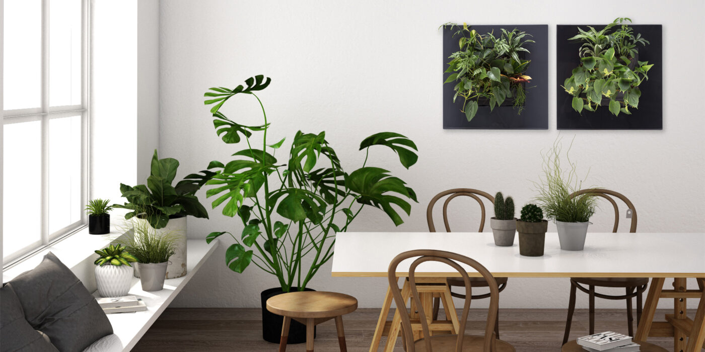 Plant Schilderijen 2
