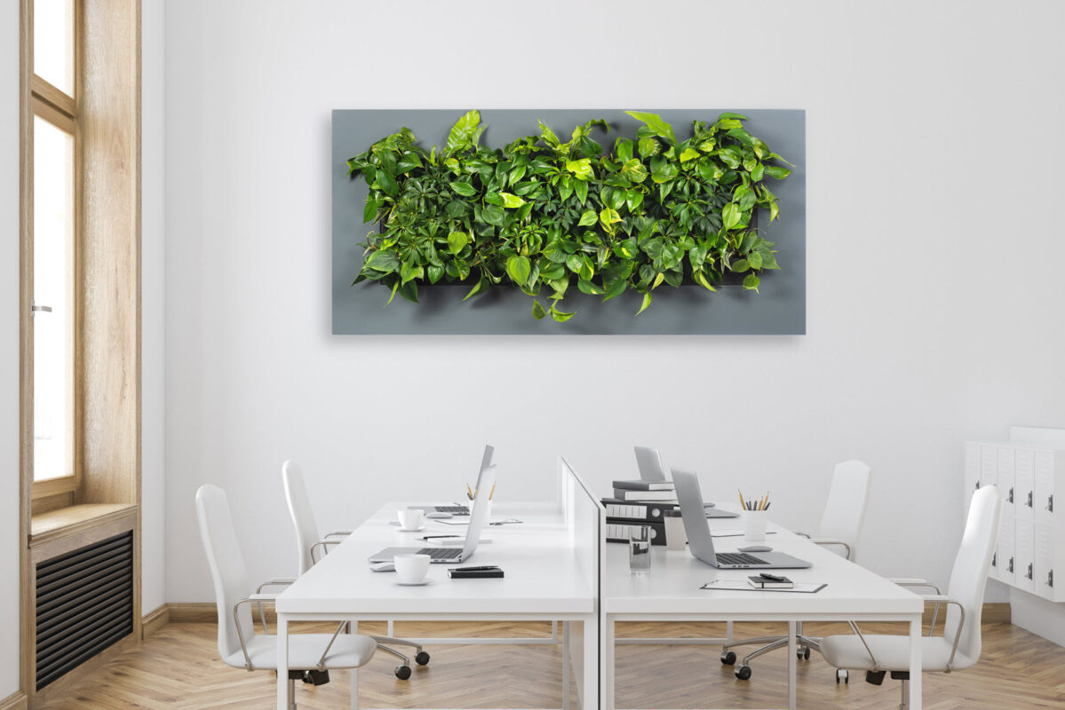 Plant Schilderijen 3