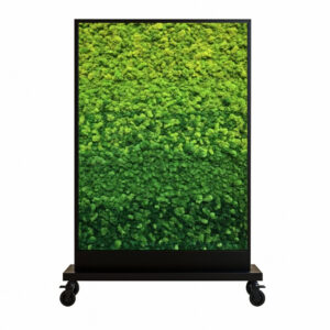 Robuust Design Black 5 2