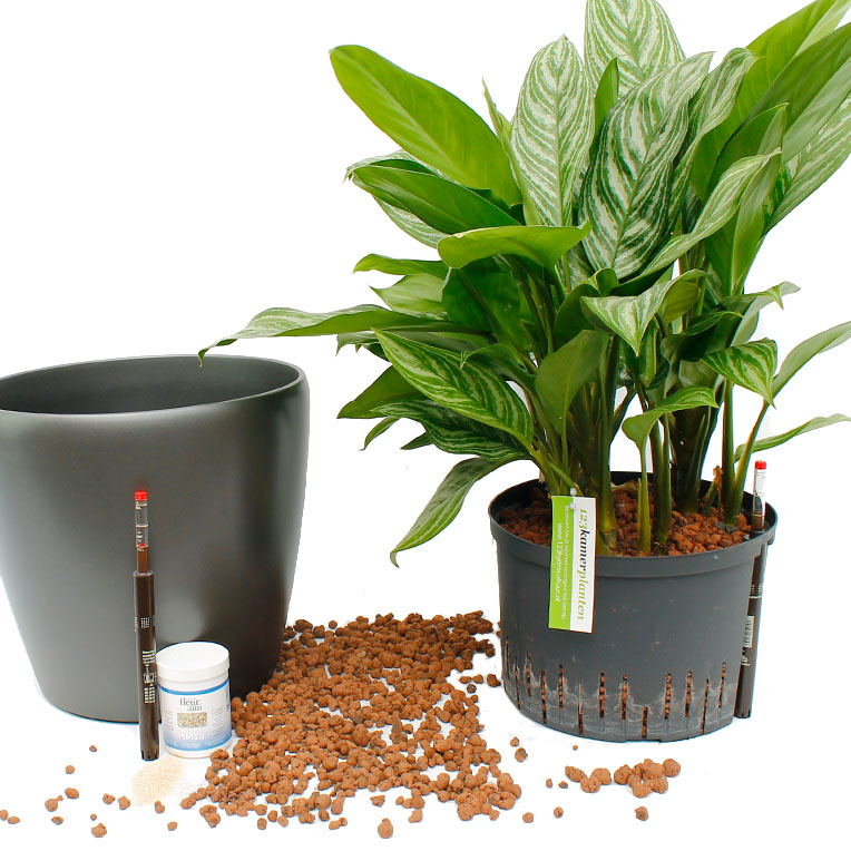 Interieurbeplanting 7 Hydro Cultuur