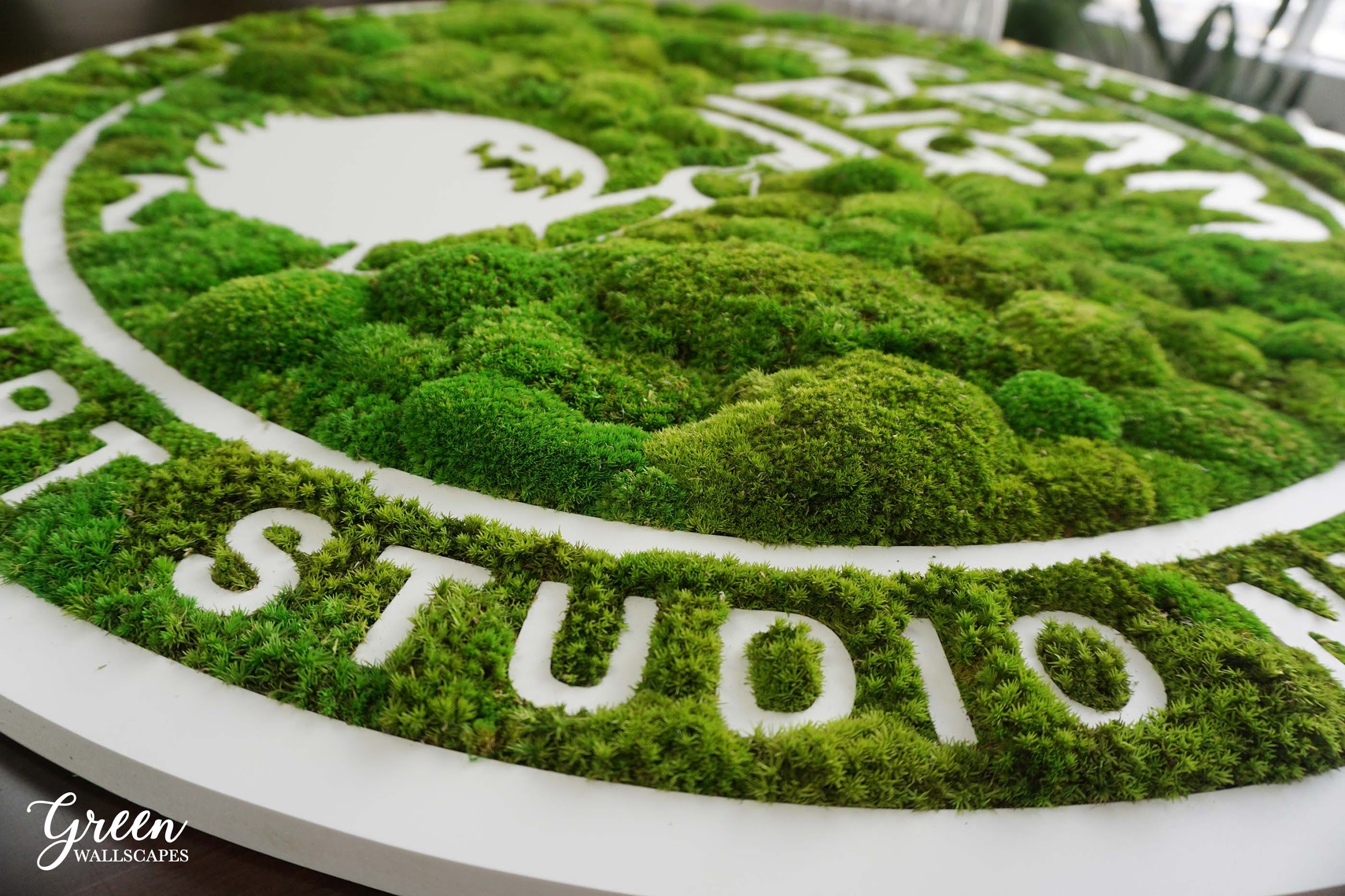 Moswand Logo 6 MDF