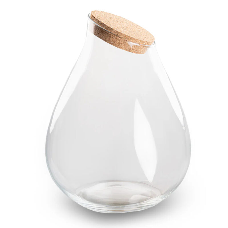 Terrarium Workshop Large 37cm 3