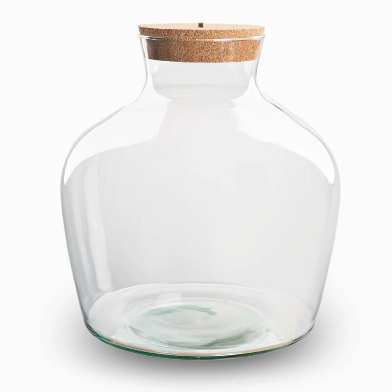 Terrarium Workshop Small 30cm 3